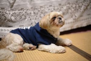 リラックス