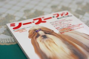 シーズーファン
