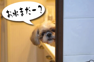 お水まだ？