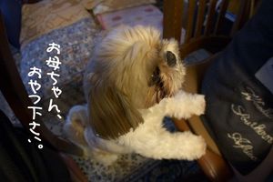おやつの催促１