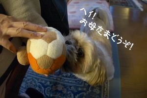 おやつの催促４