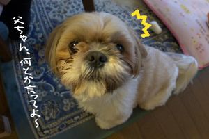 おやつの催促６