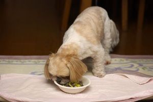 ご飯の時間６