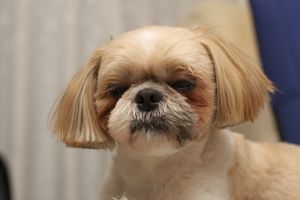 眠そう