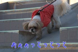 下りの階段