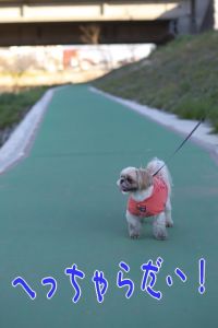 へっちゃらだい
