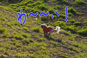 上り坂