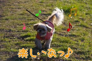 楽しいな