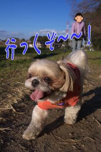 前進
