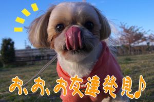 発見