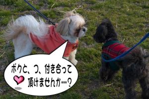 アタック