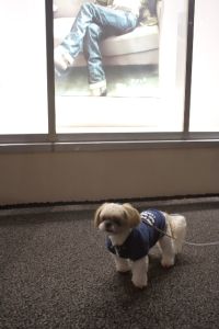 お店の前で