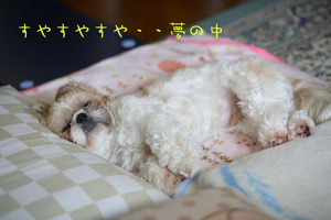 お目覚め１