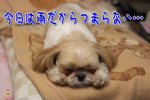 つまらない