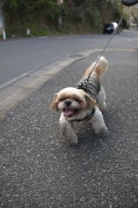 続く