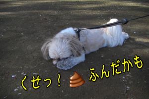 うんこ