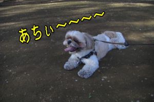 あち～