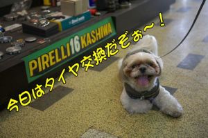 交換だぞぉ