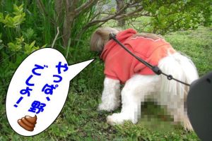 お散歩３