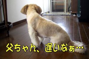 遅いなぁ