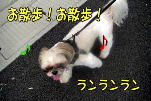 お散歩ランランラン