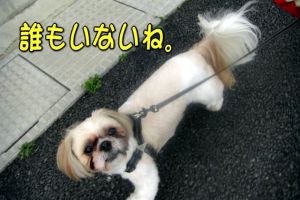 誰もいないね