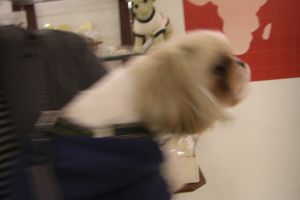 感動の再会