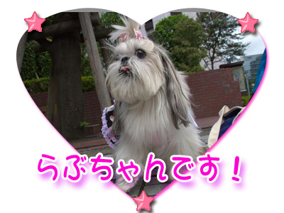 らぶちゃん