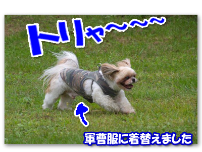 おりゃ～