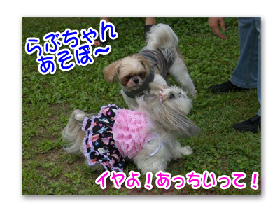 らぶちゃ～ん