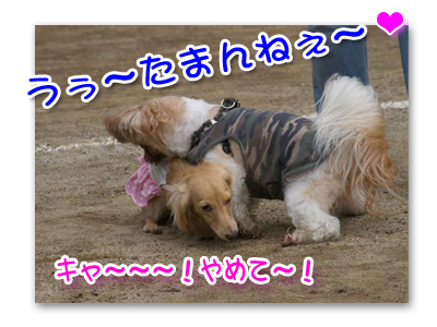 ストーカー２