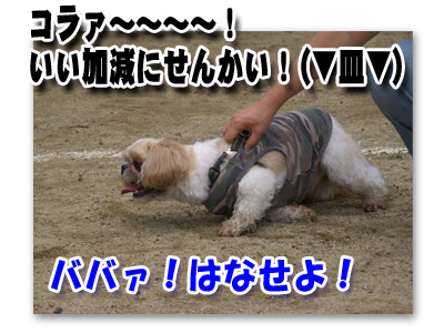 強制連行