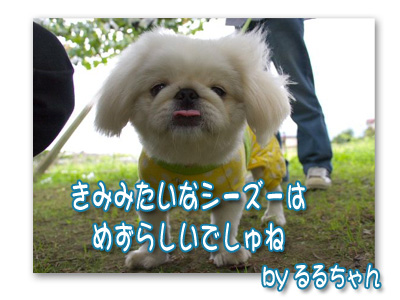 るるちゃん