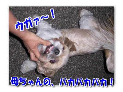 母ちゃんのバカ！