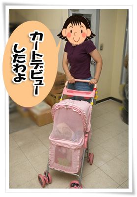 カートデビューしたわよ
