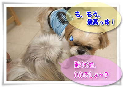 乗り心地いいでしょ～
