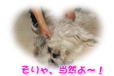 そりゃ当然よ～