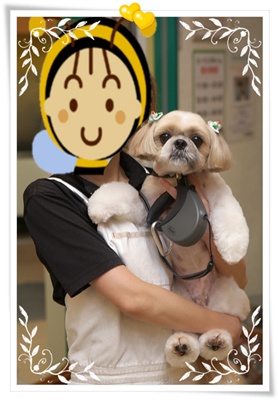 お姉さんと一緒に