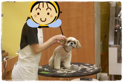 トリミング中