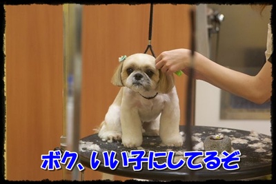 ボク、いい子にしてるぞ
