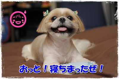 寝ちまったぜ！
