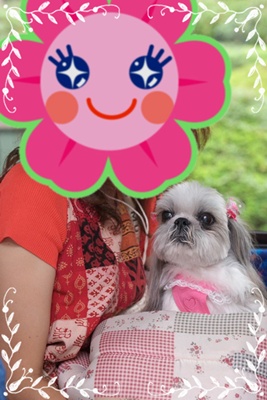 あさみンさんとらぶちゃん
