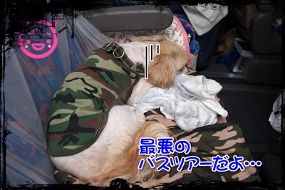 最悪のバスツアーだよ