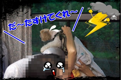 たすけてくれ～