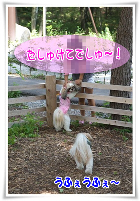 たしゅけてでしゅ～