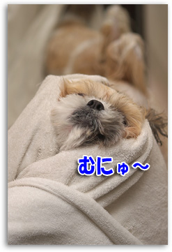 むにゅ～