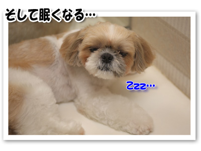 そして眠くなる･･･