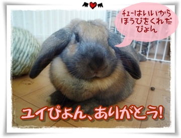 ユイぴょん