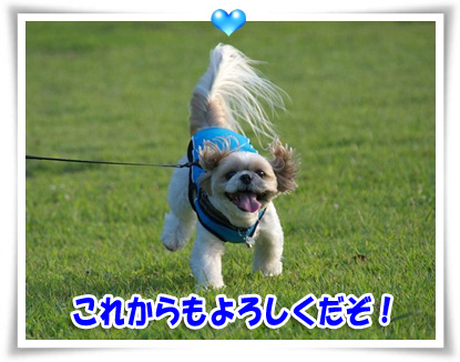 よろしくだぞ！