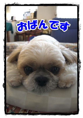 おばんです